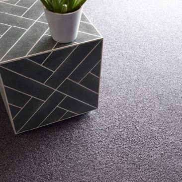 Shaw carpet | Shoreline Flooring