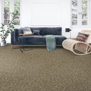 Soft intrigue carpet floor | Shoreline Flooring