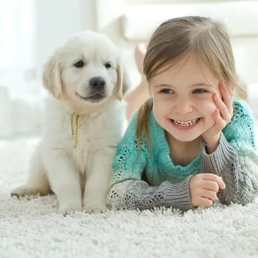 carpet-pet-square-1 Kid and Dog Playing on Carpet Flooring | Shoreline Flooring