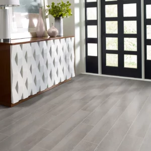 Tile with a light gray wood look, in an entryway